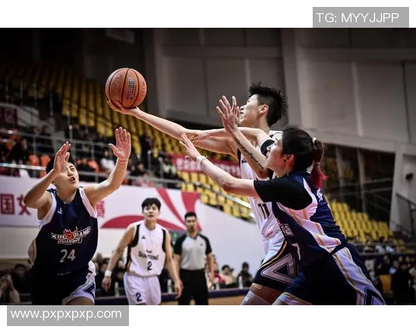 11月5日CBA精彩对决四川队迎战北京队全力争胜展现篮球魅力 11月5日CBA精彩对决四川队迎战北京队全力争胜展现篮球魅力