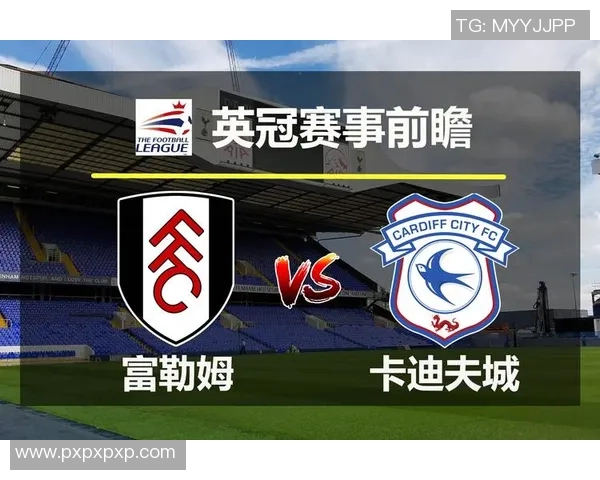富勒姆与卡迪夫城激战回顾7月31日精彩录像全程分析